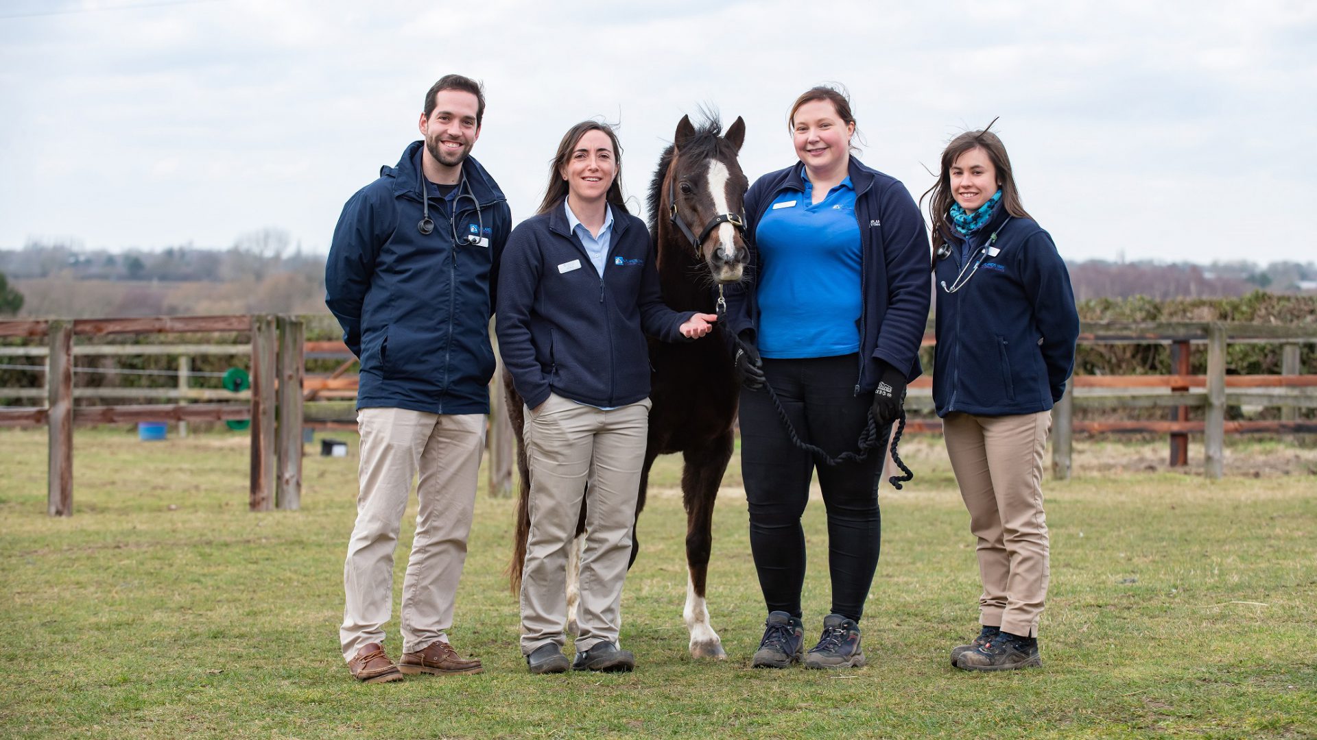 Vet practice enters new pastures with open evenings for animal lovers