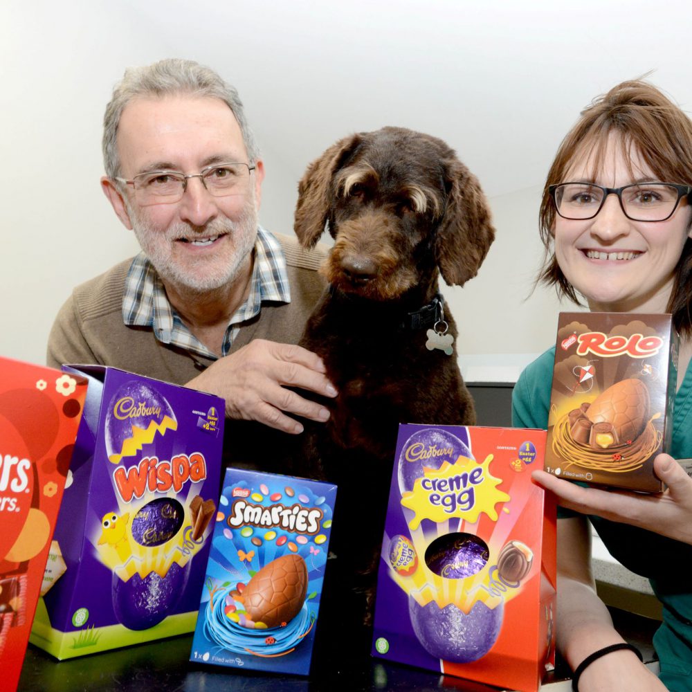 Chocs away! Vets warning to dog owners after Boseley guzzles Easter treats