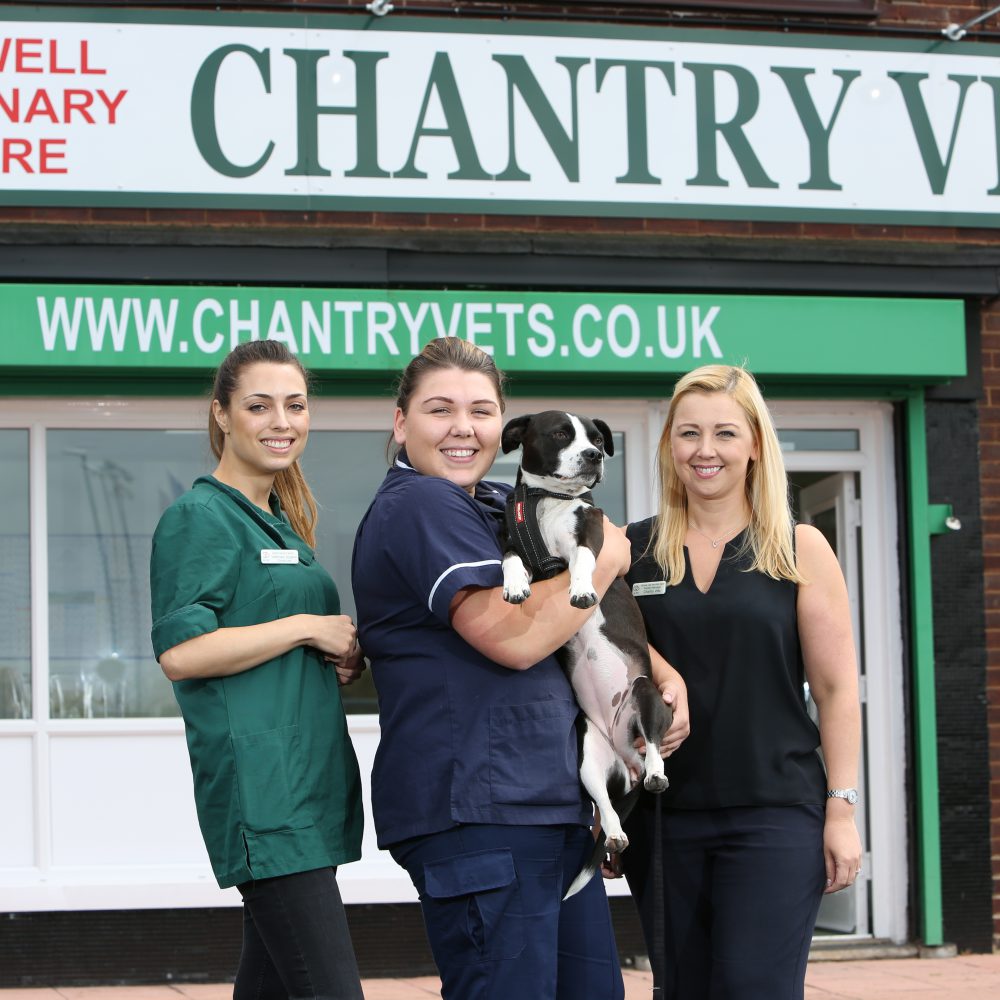 Boost for pet owners as veterinary practice expands after £300k investment