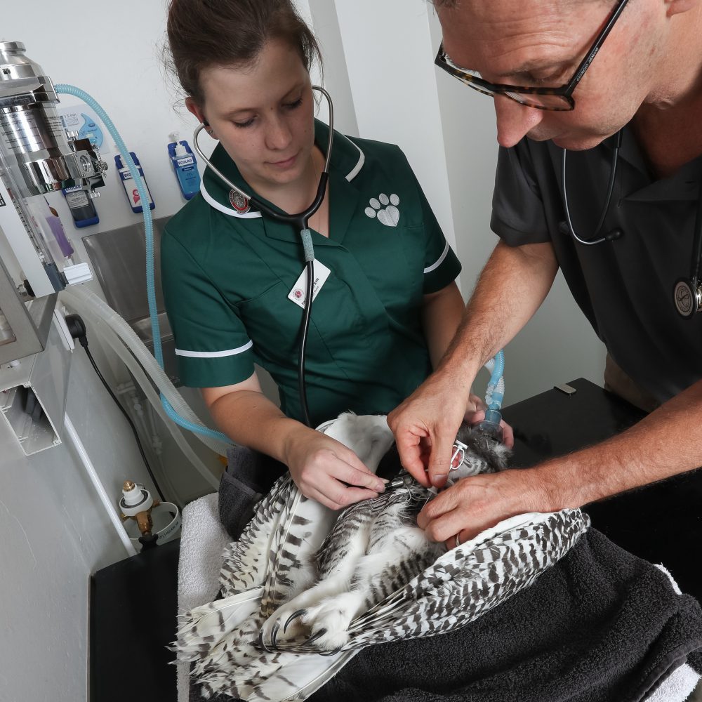 Boost for exotic pet owners as vet practice has £125,000 investment