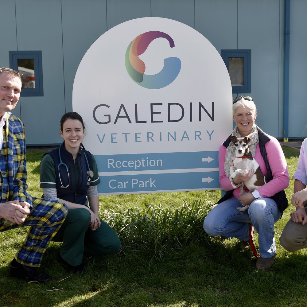 Galedin Vets donation is boost for rugby legend Doddie and his pooch