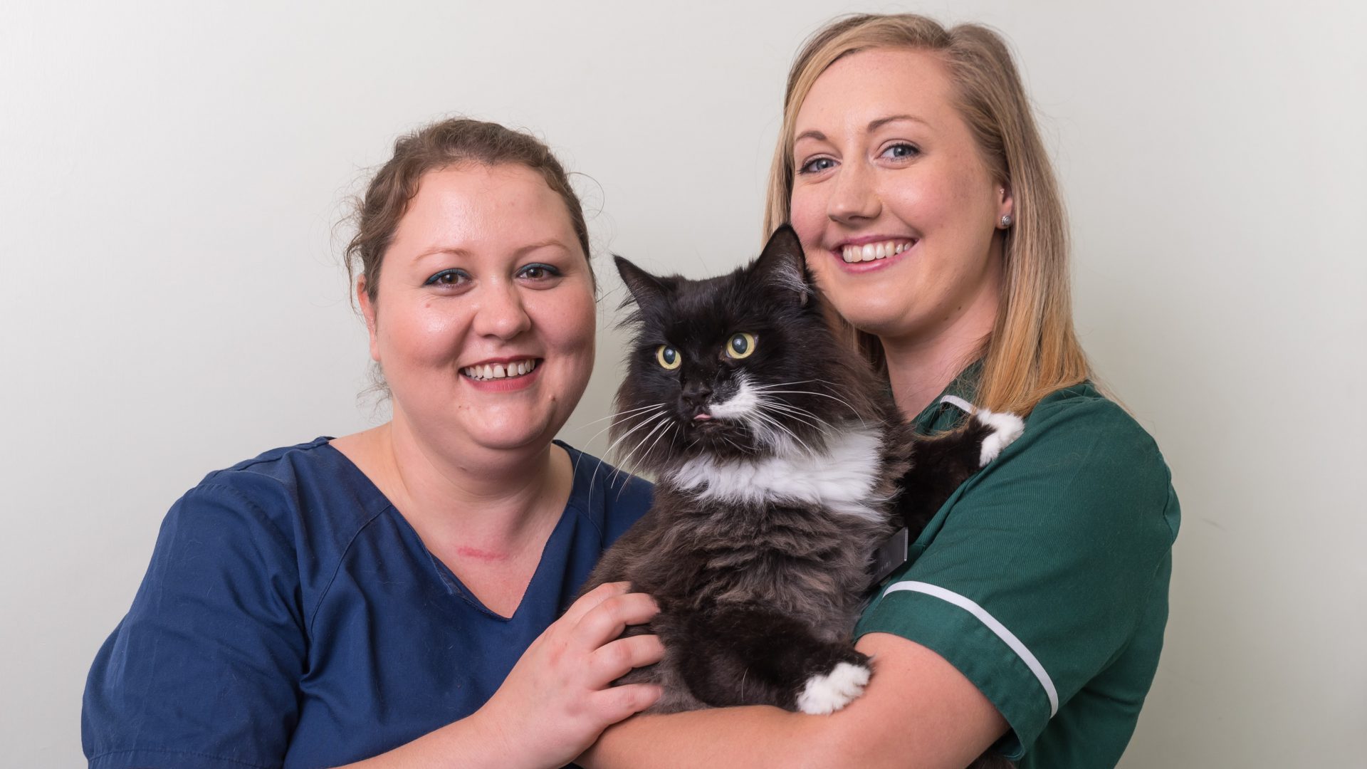 Miracle moggy Reggie bounces back after cancer scare