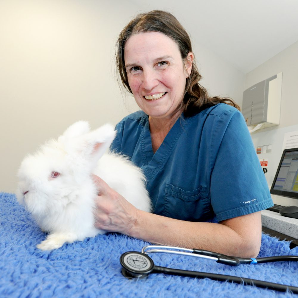 Lincolnshire rabbit owners urged to vaccinate after fatal disease warning