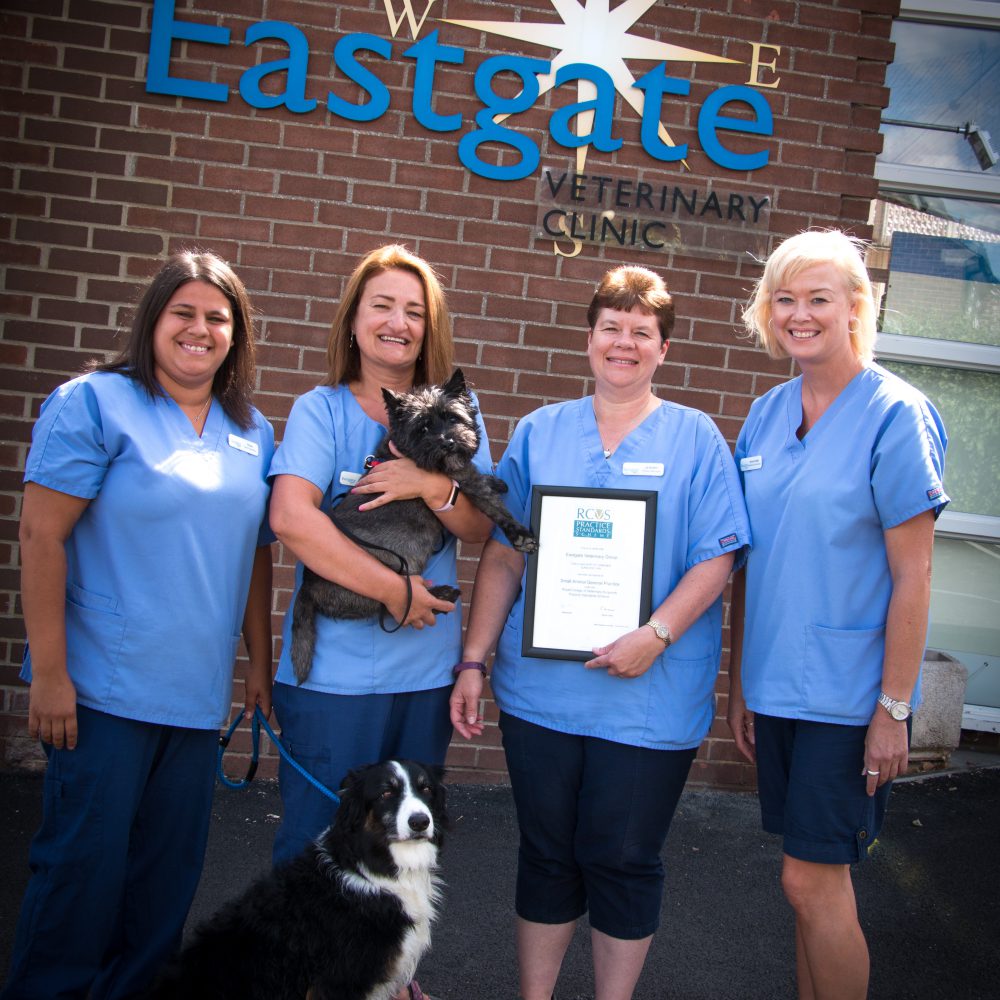 Eastgate Veterinary Group praised for excellence in veterinary care