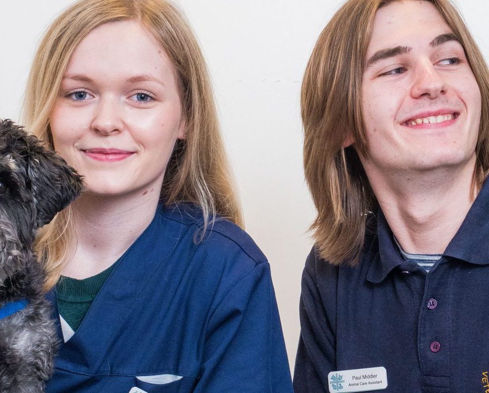 Dunedin Vets pair on path to dream career as veterinary nurses
