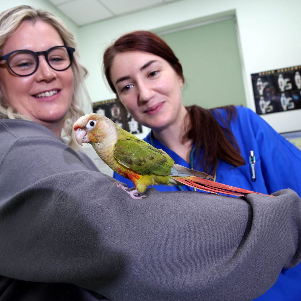 New vet Valeria providing care for exotic pets