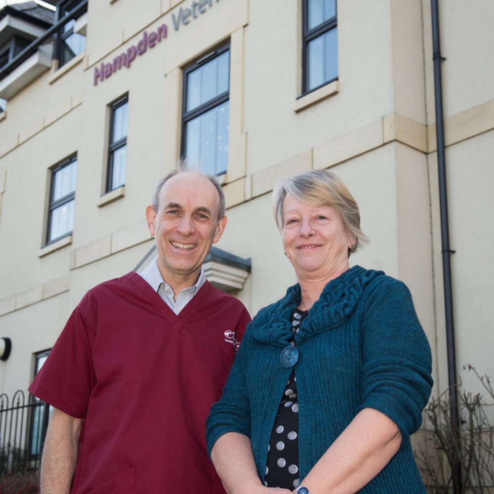 Aylesbury vet practice launches improved out-of-hours emergency service