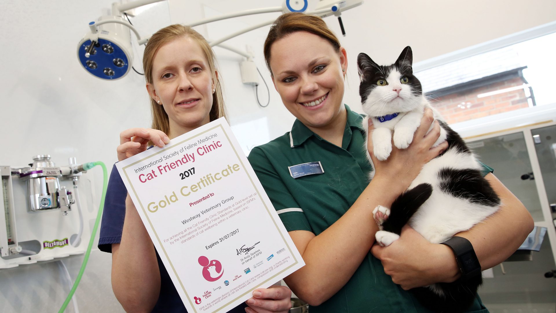 Top award leaves Newcastle veterinary practice feeling like cat that got the cream