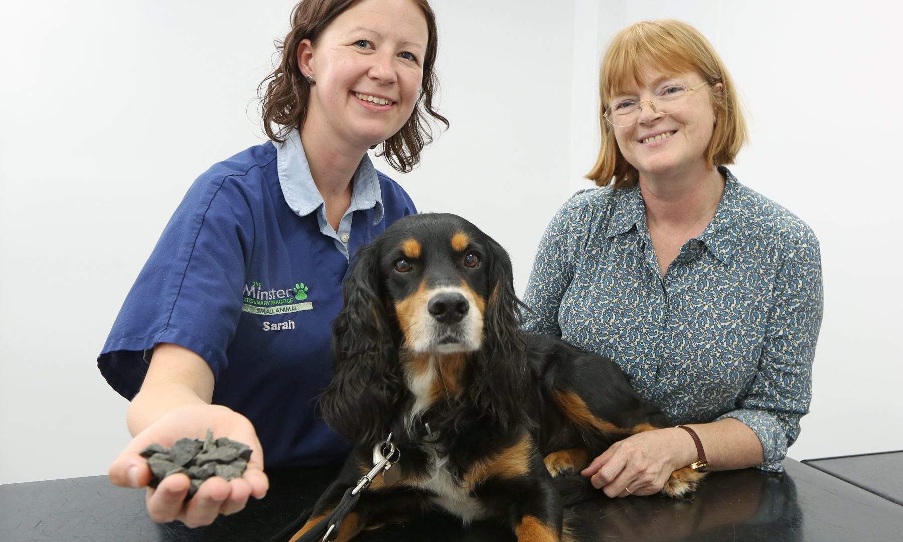 York vets save life of dog after eating a kilo of gravel