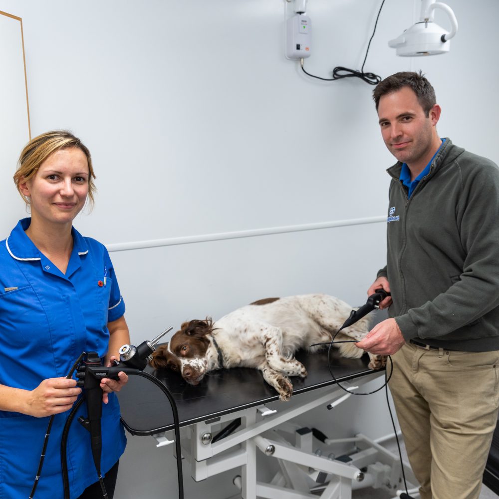 Pets are set to gain from vets’ £30,000 investment in new technology