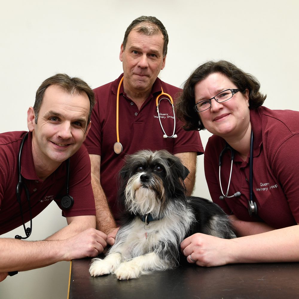 New era for Shrewsbury vets as Nigel hangs up stethoscope