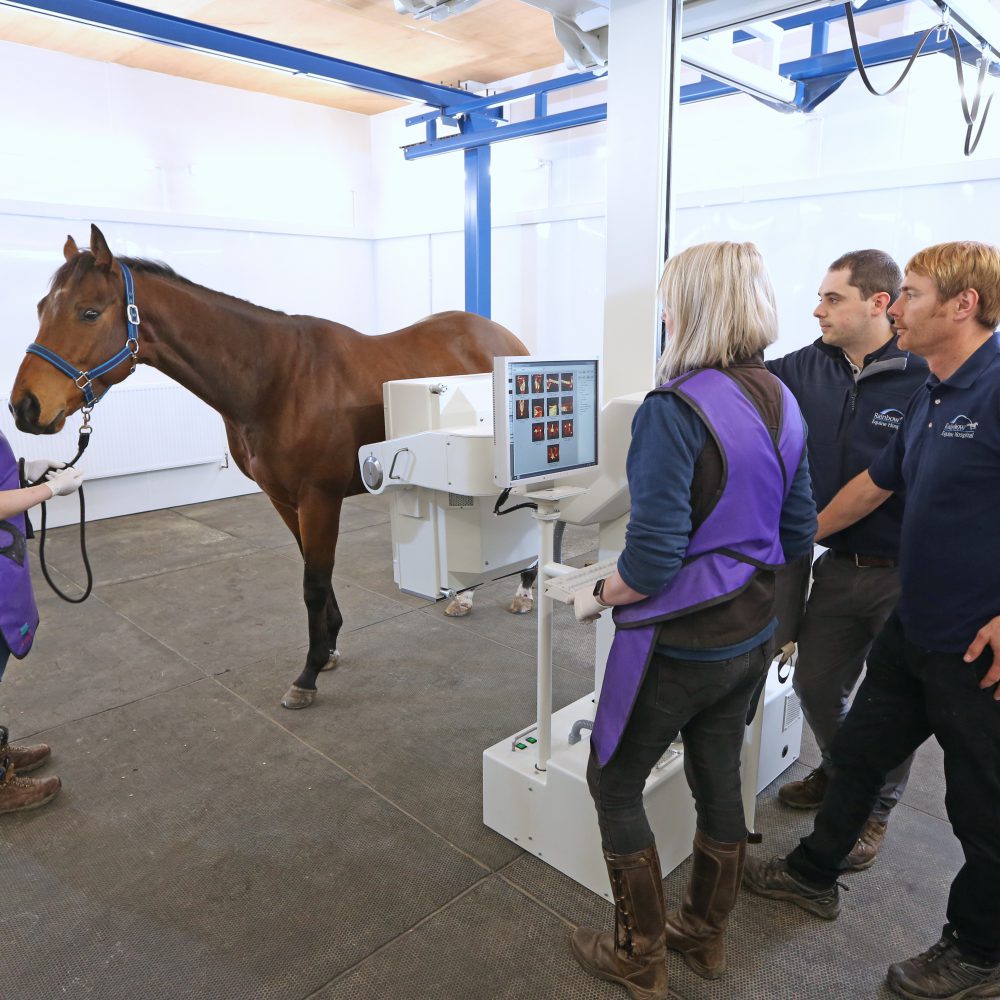 Malton equine hospital announces £230k investment in latest technology