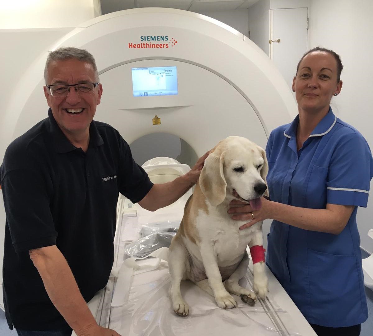 St Helens Veterinary Hospital £1million MRI scanner investment