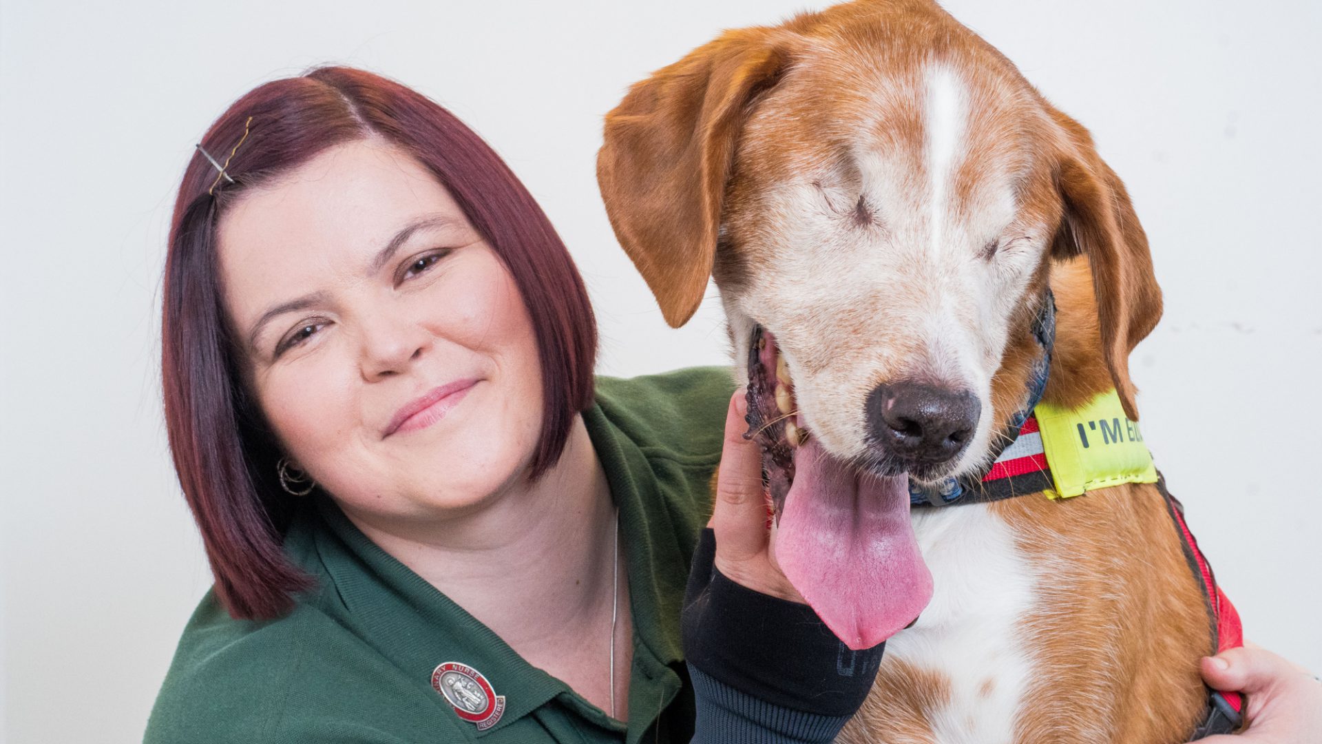 Happy dog Scully proves that love is blind after losing both his eyes