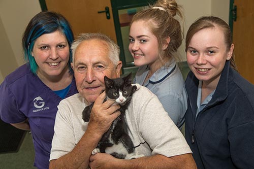 Stowaway kitten that hid under car bonnet recovers from horrific injuries to find new home