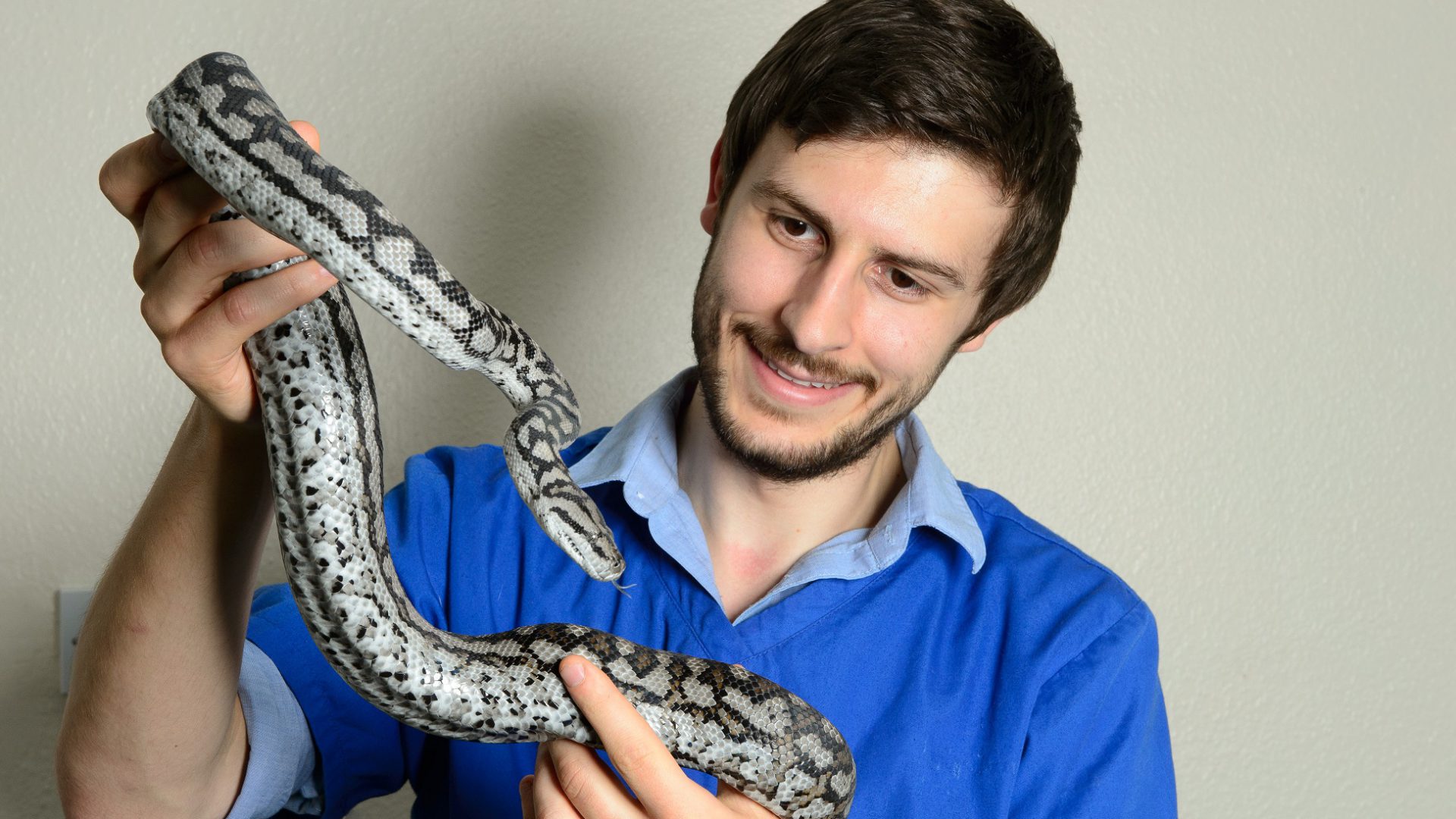 Exotics expert to treat everything from snakes to salamanders at new hospital