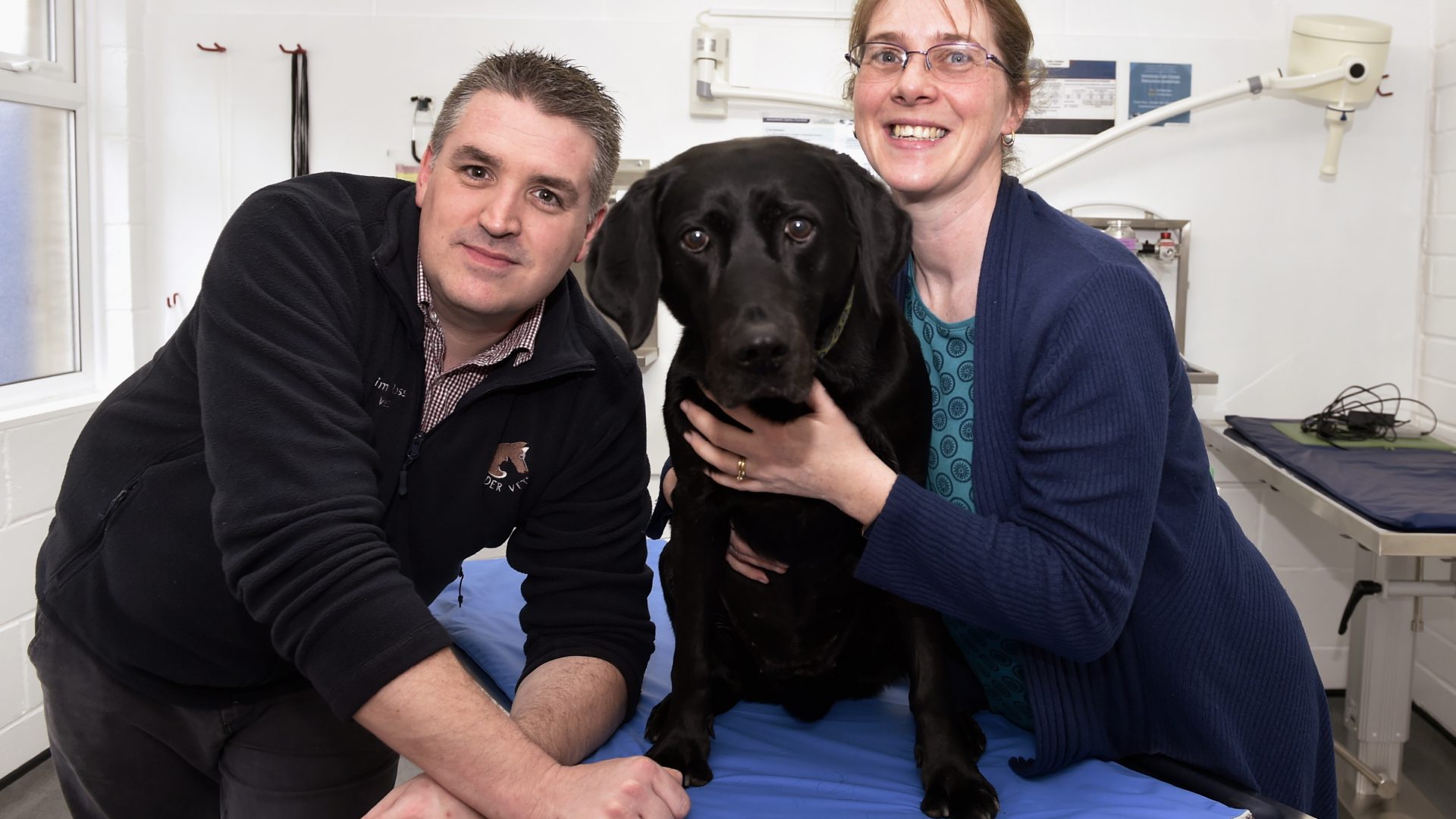 Family pet makes incredible recovery after road accident