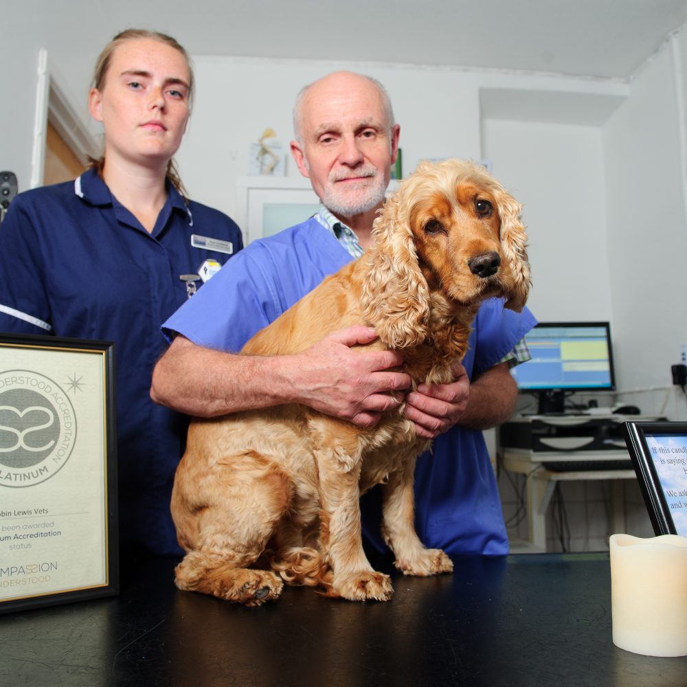 Vet practice helping clients deal with saddest part of owning a pet
