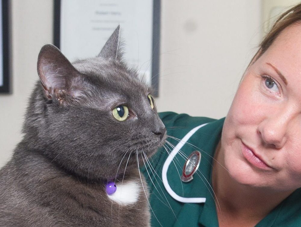 Veterinary nurse helping poorly pets get back on their paws