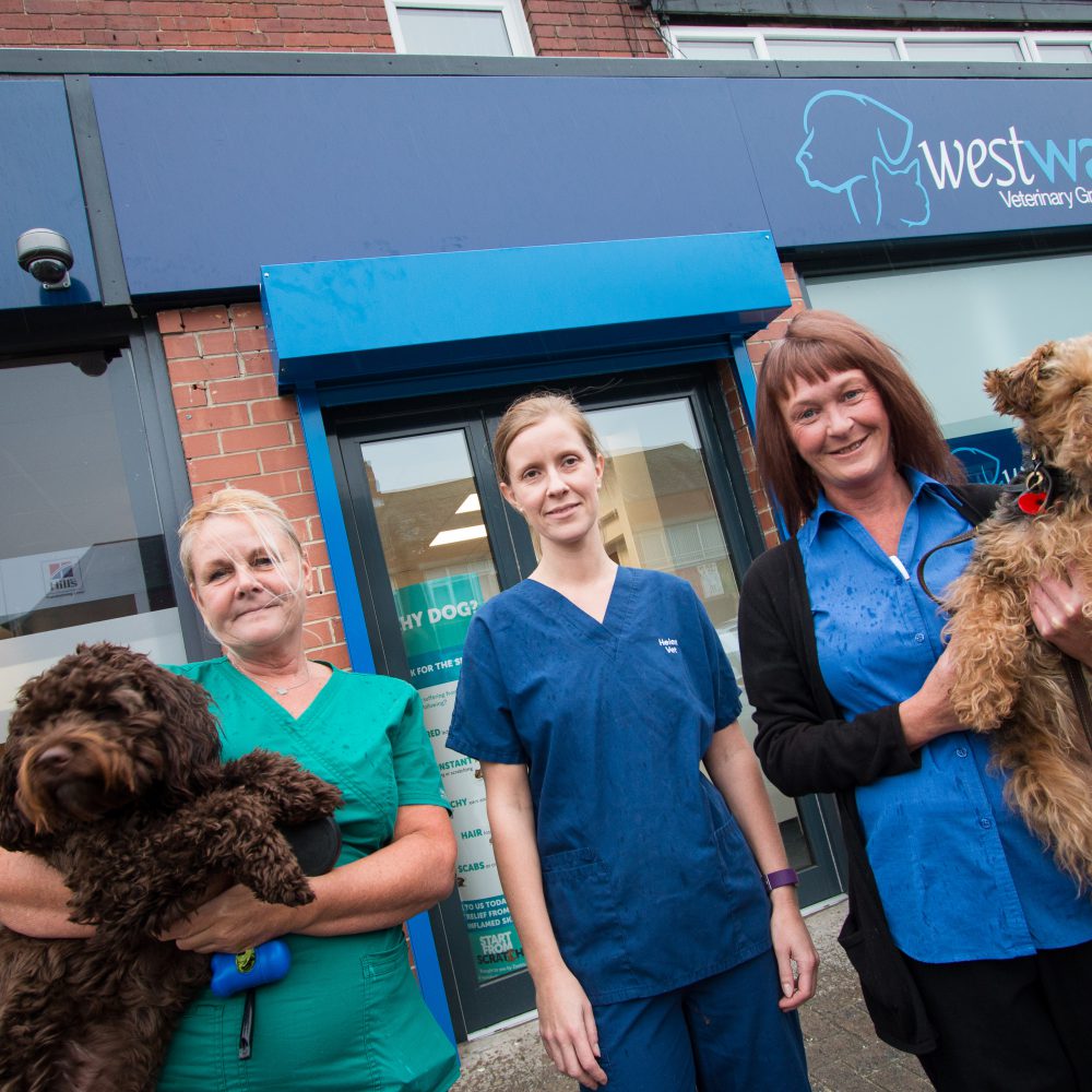 Good news for poorly pets as practice undergoes major expansion