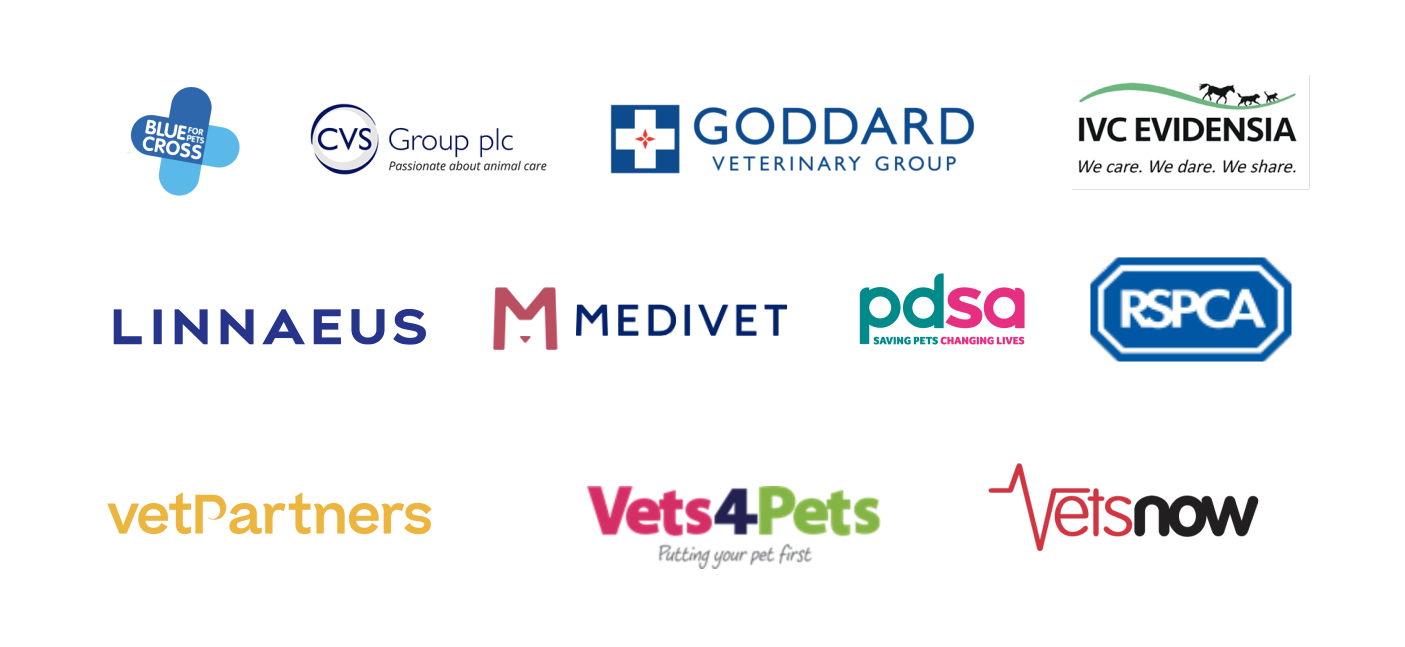Vet groups and charities work together to continue care and support veterinary teams and clients during coronavirus