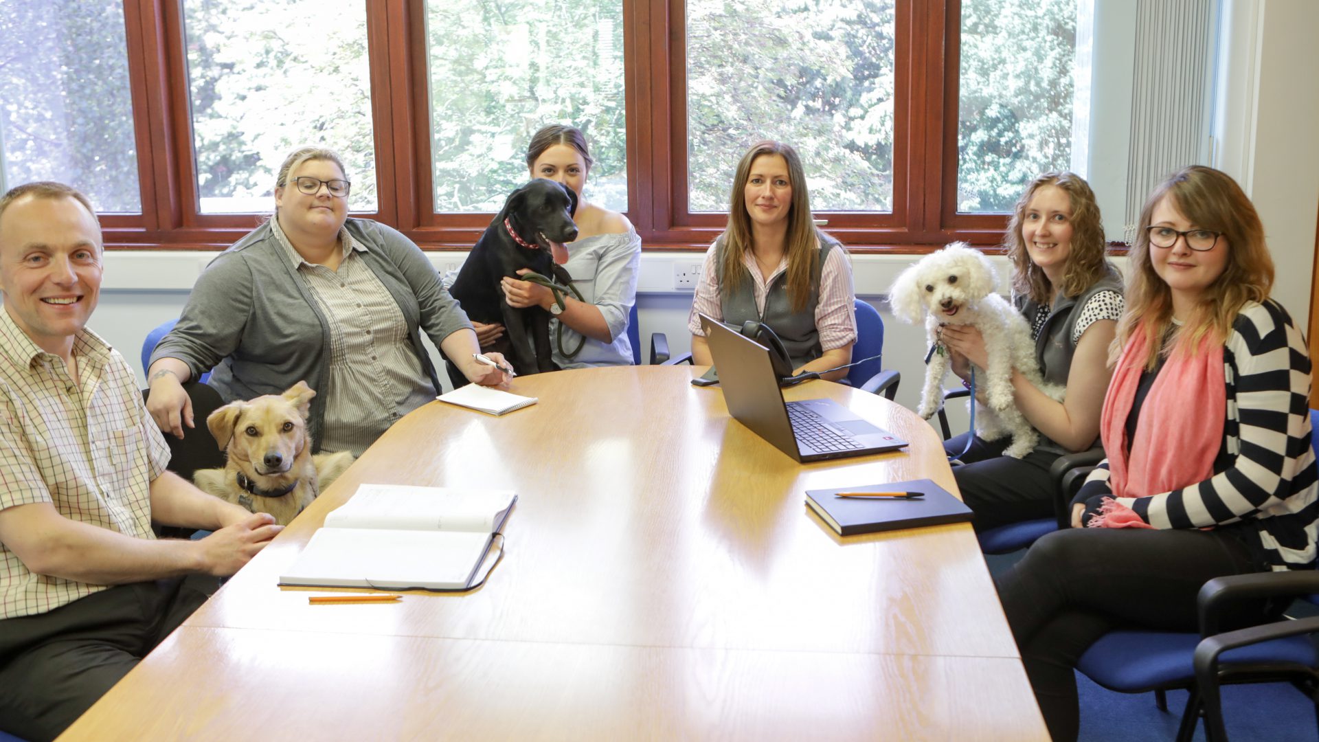 VetPartners team has dog of a day – but no one is complaining!
