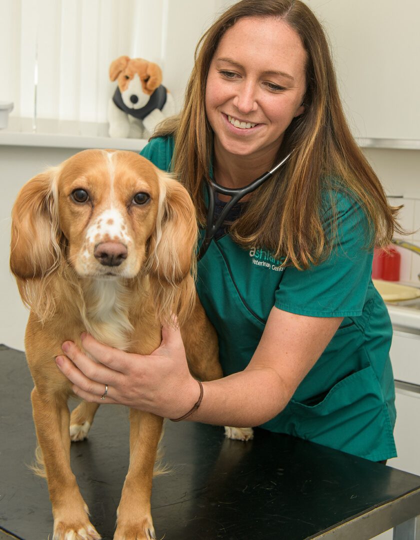 How vet Nikki is happy juggling family and a thriving career