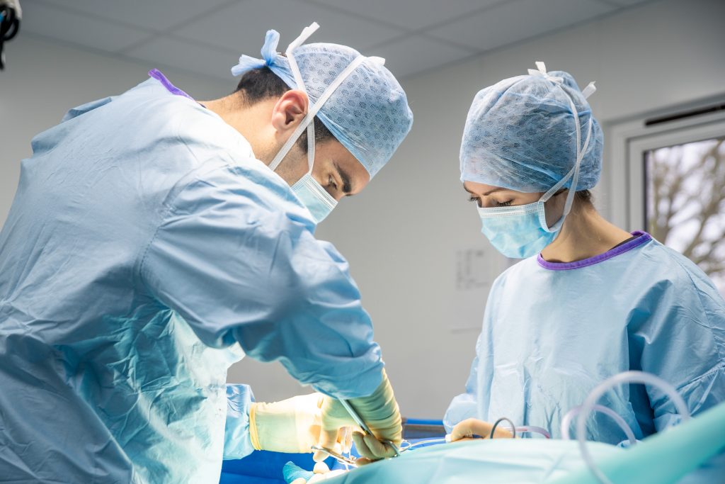 veterinary surgeons wearing gowns and masks performing surgery