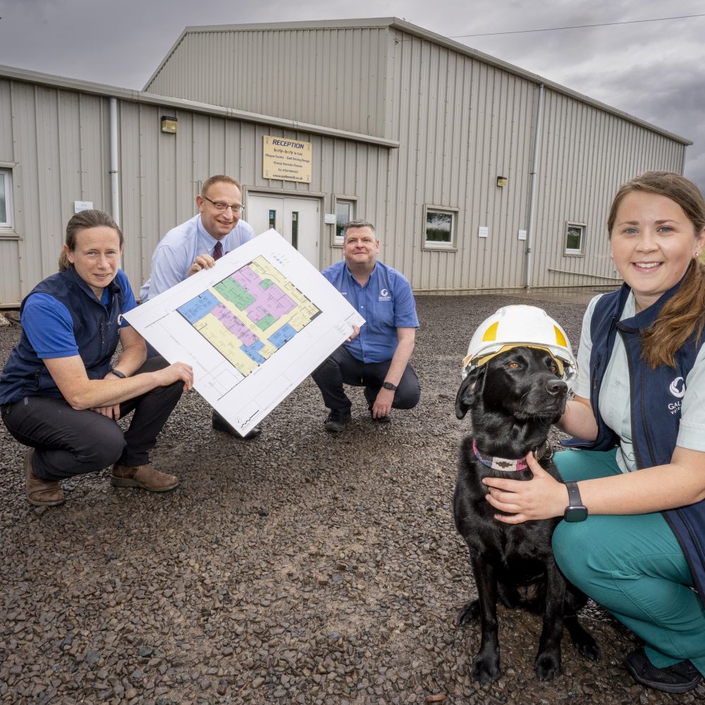 Boost for Borders pets as plans unveiled for new £1.4m practice