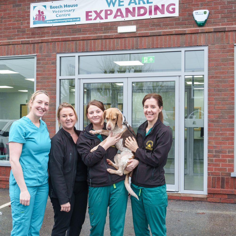 Beech House Vets opens new £1.4 million state-of-the-art practice