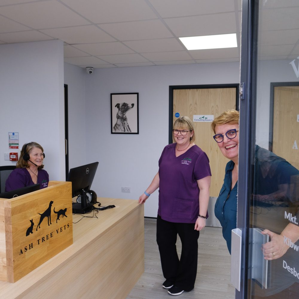 Boost for poorly pets as Ash Tree Vets opens new £1m practice