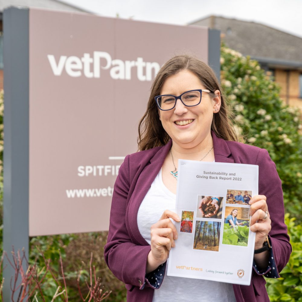 VetPartners colleagues pull out the stops for charities and environment