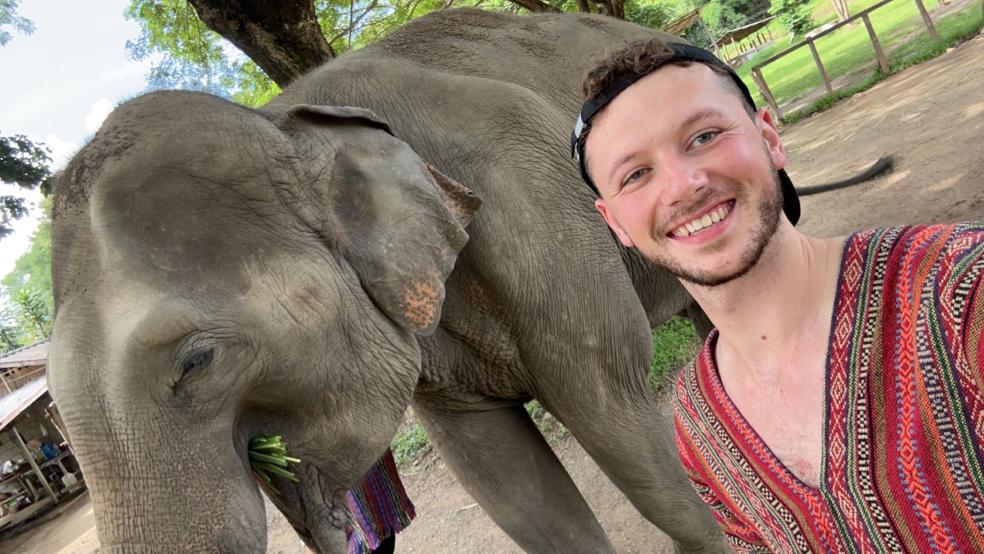 Vet Matthew Edwards alongside an eleplant