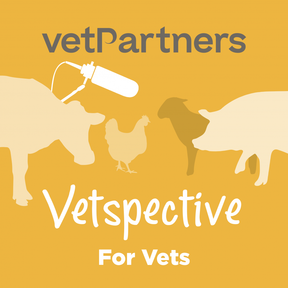 Engaging with Farmers for BVD