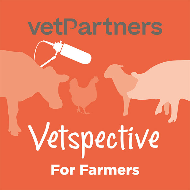 Biosecurity and Reducing Disease During Lambing