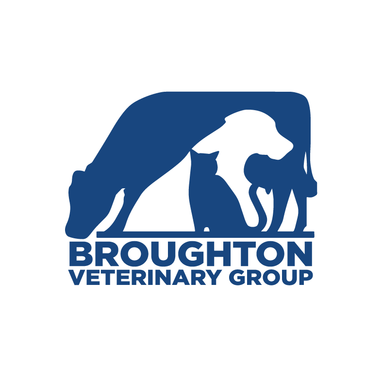 Broughton Veterinary Group
