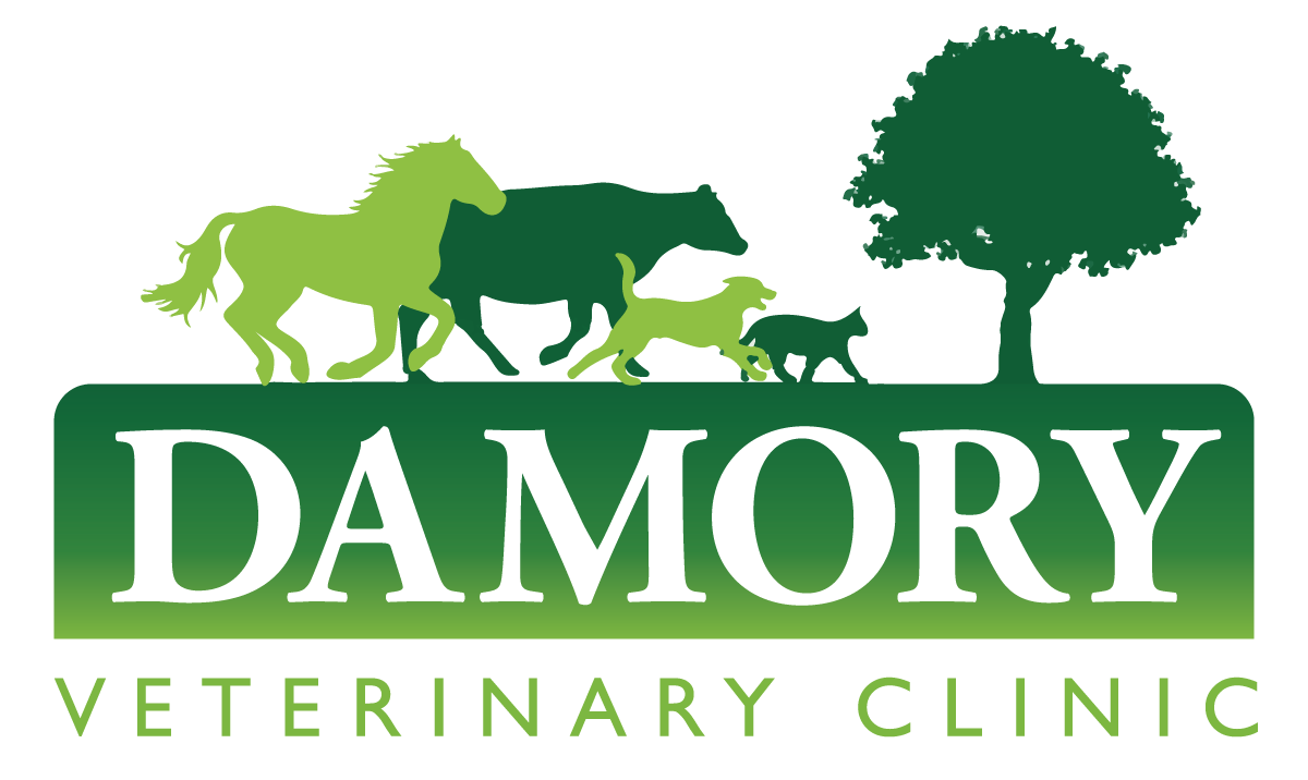 Damory Veterinary Clinic