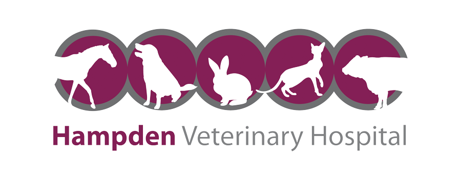 Hampden Vets