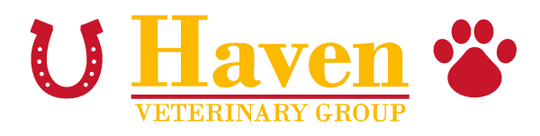 Haven Veterinary Group  