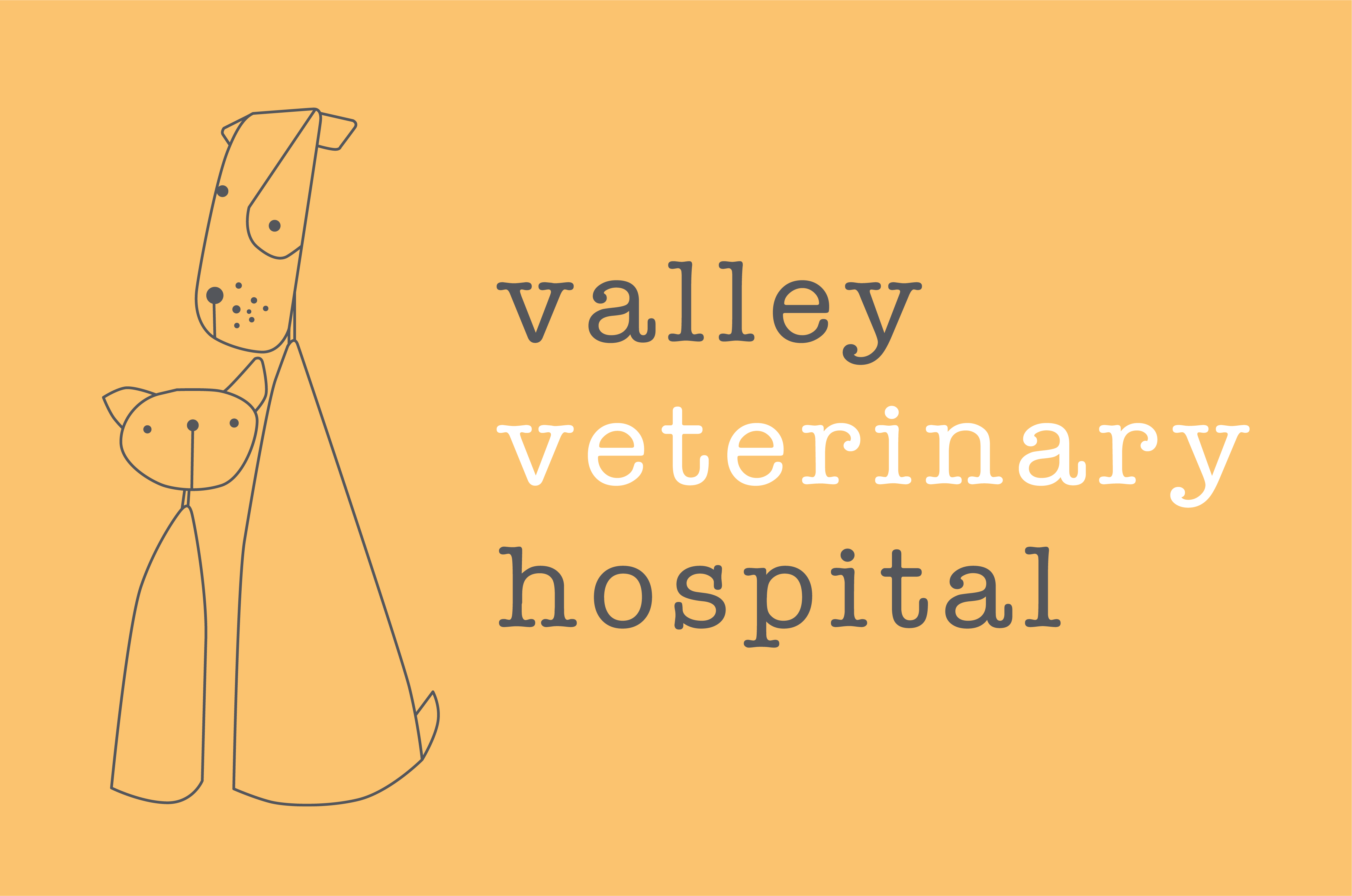 Valley Veterinary Hospital