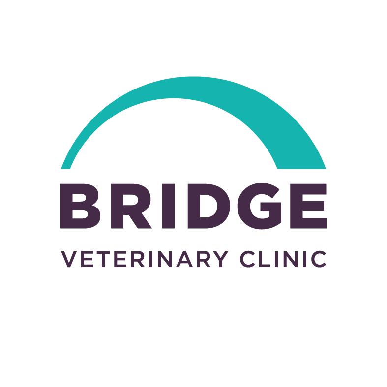 The Bridge Veterinary Clinic