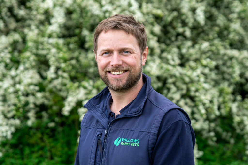 Willows Farm Vets celebrates becoming world-class workplace