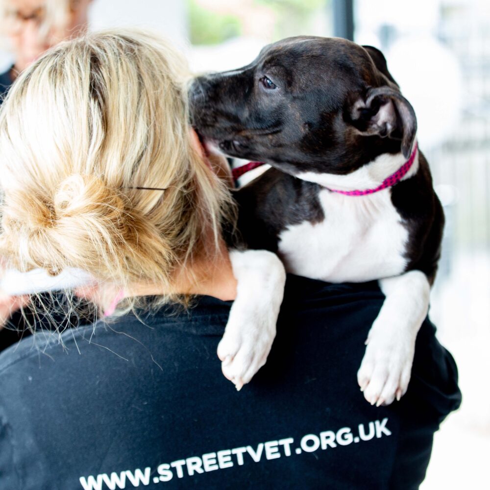 VetPartners’ boost to charity helping homeless people and their pets