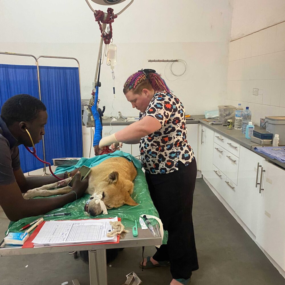 Louise has the volunteering experience of a lifetime