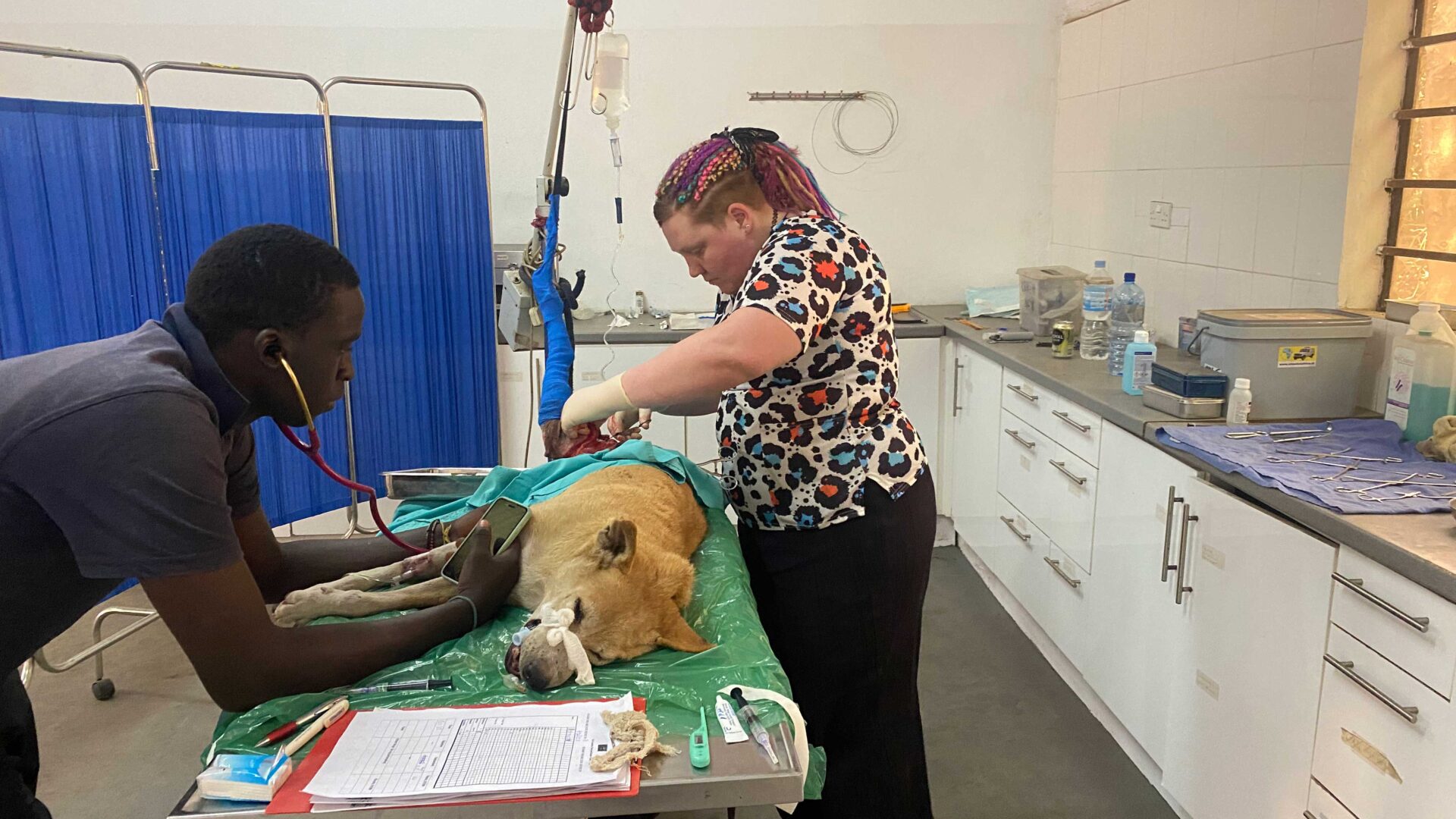 Louise has the volunteering experience of a lifetime