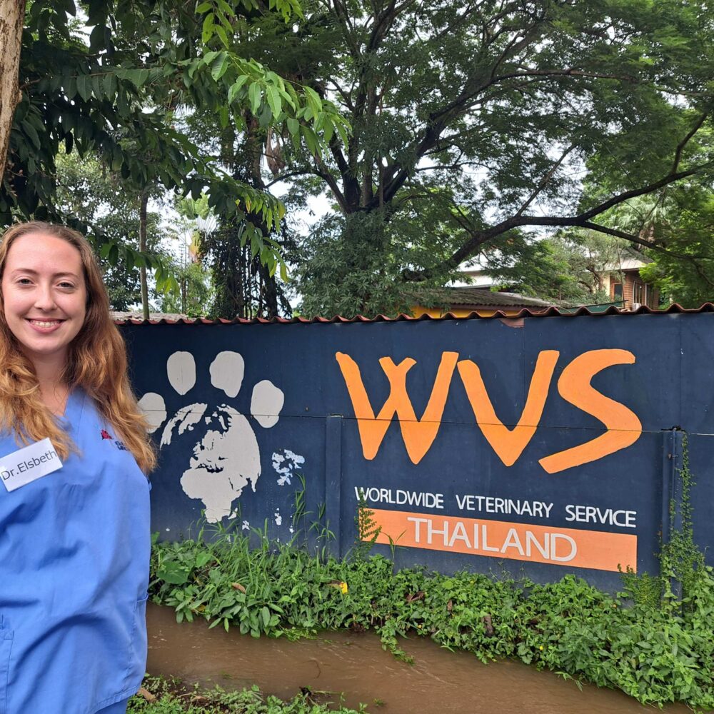 Matt and Elsbeth take trip to Thailand to boost their skills