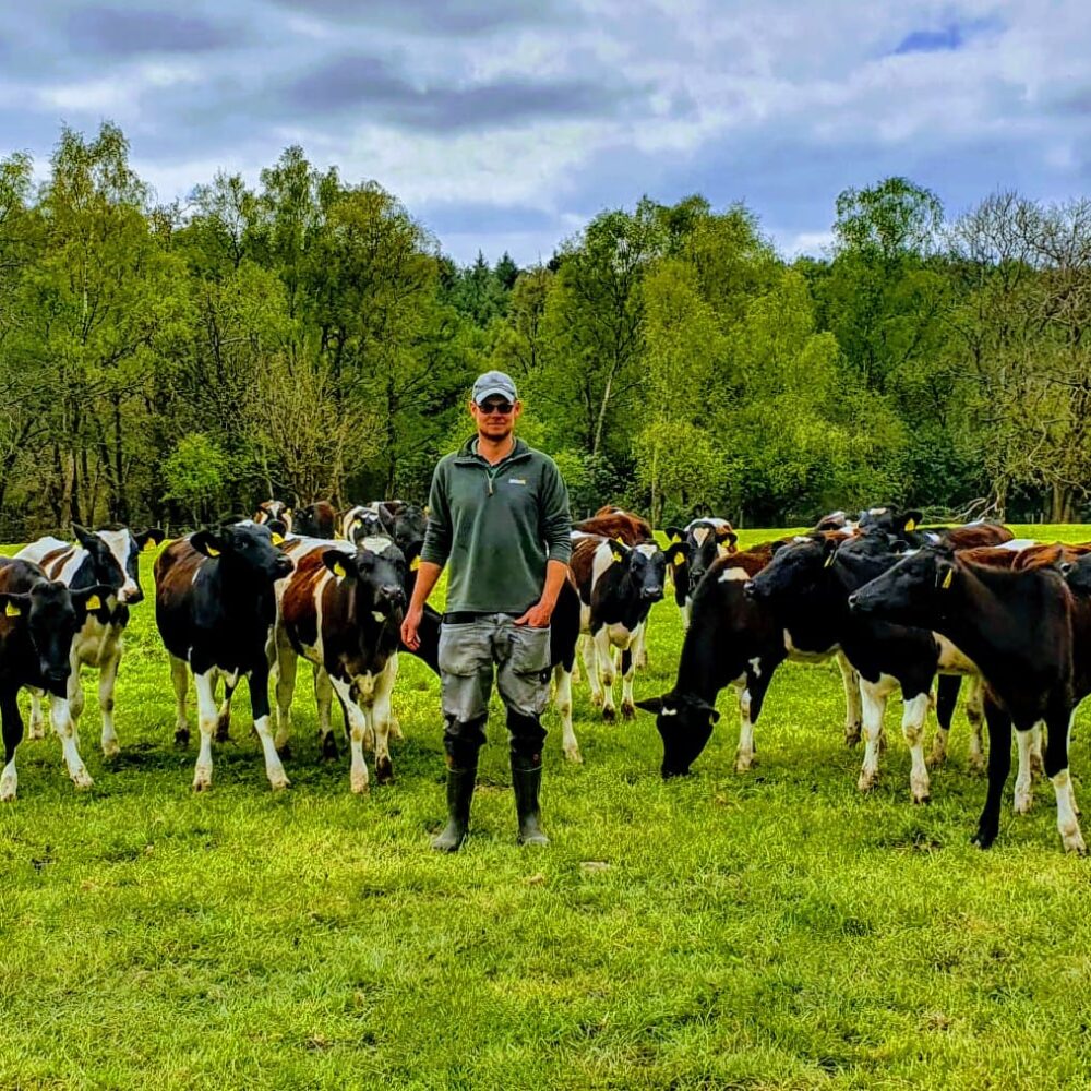 Celebrating our sustainable dairy farm award winners