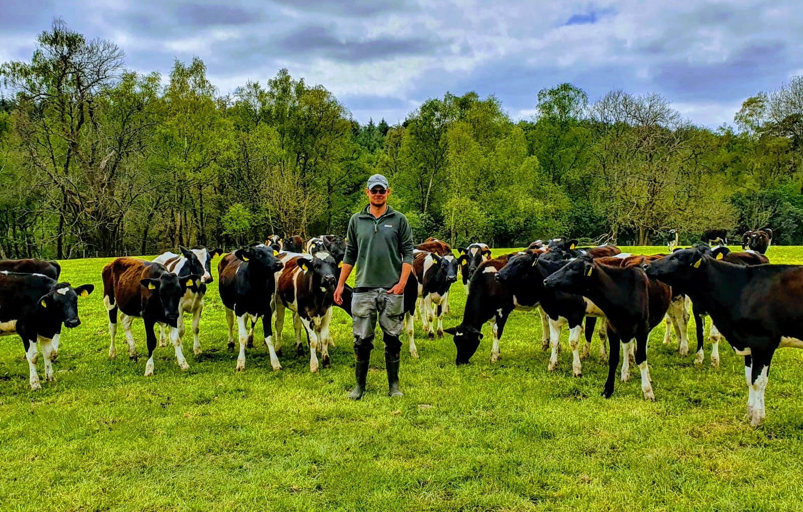 Celebrating our sustainable dairy farm award winners