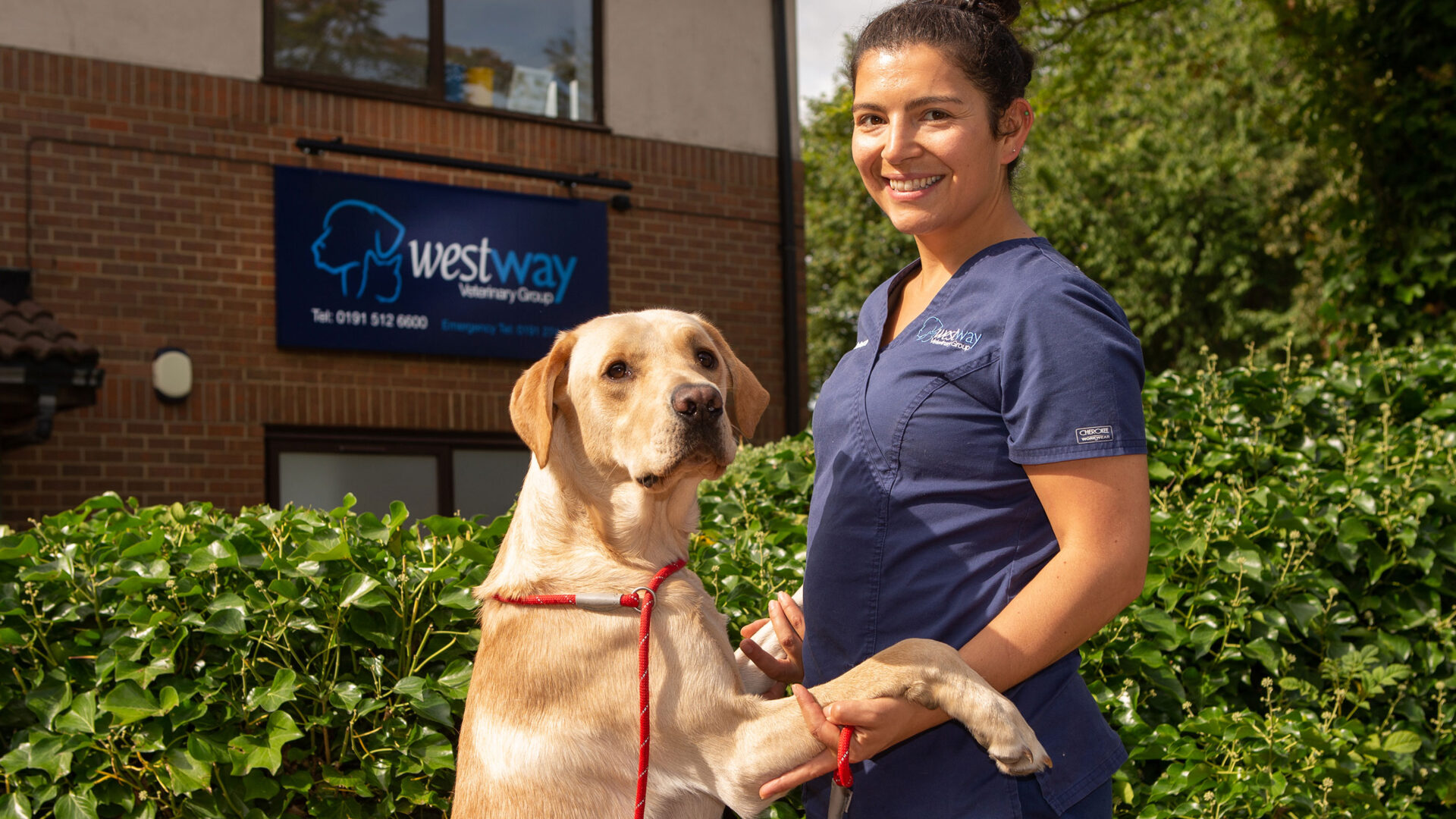 VetPartners awards first clinical research prizes