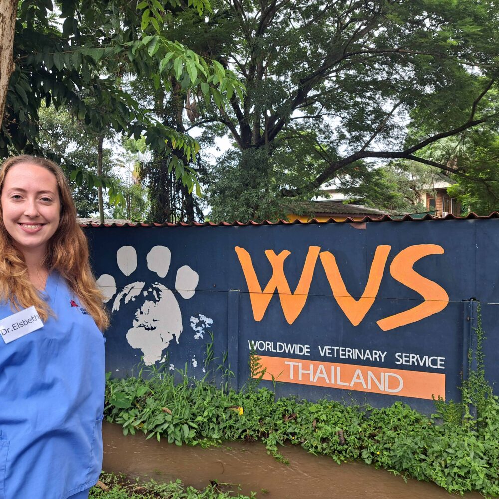 VetPartners supporting colleagues volunteering overseas